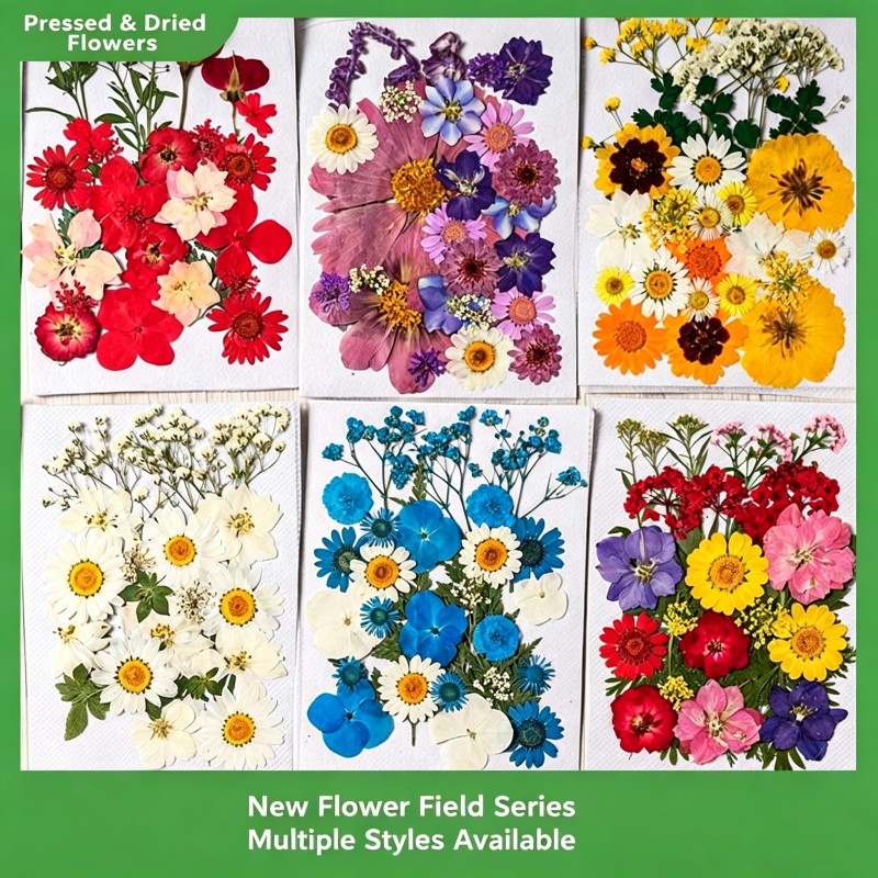 35Pcs10 Set of Dried Flowers a - Candle Making Set のレビューと価格
